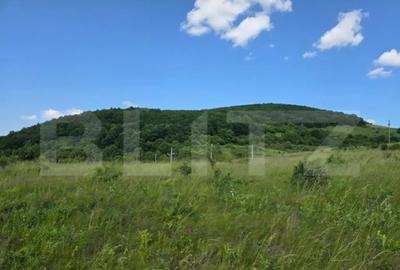 Teren de 3800 mp, în Iris