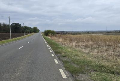 Teren Branesti deschidere la drum asfaltat ideal mica dezvoltare imobiliara. Teren Branesti deschidere la drum asfaltat ideal mica dezvoltare imobiliara. - 5