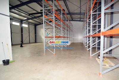 Hala 572 mp Chiajna - 18