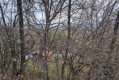 Teren Intravilan Breaza Prahova (zona Clubului de Golf) 1744mp - 6