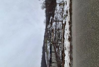 Spațiu comercial, în Petriș - 4