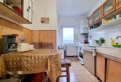 Apartament cu 3 camere decomandat în Mănăștur - 5