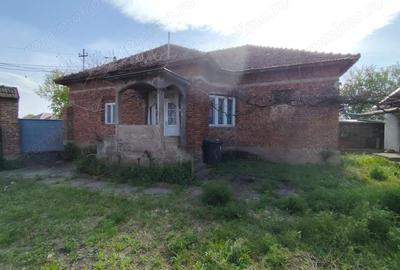 Casă cu 4 camere cu Teren 4122 Mp în Petid - 17