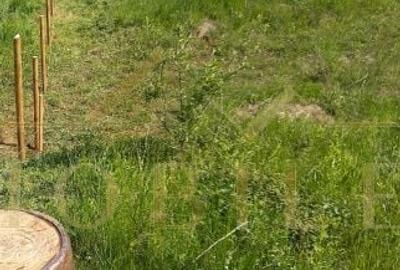 Casă cu 3 camere în Feleacu - 5