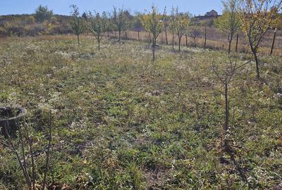Spațiu comercial, în Central - 2