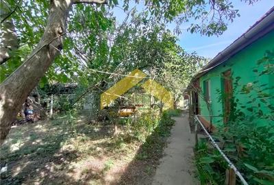 Casa de vanzare in Bodrogu Vechi - 7