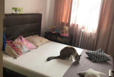 De vanzare ap 3 cam - 3