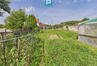 Casa ?i centru comercial, in localitatea Lazuri - 3