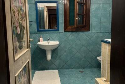 Casa individuala de inchiriat cu o camera - zona Ghiroda - 9