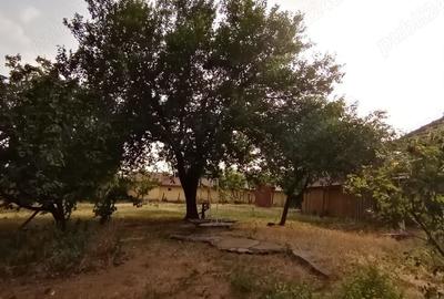 Casă cu 3 camere în Cioranca - 9