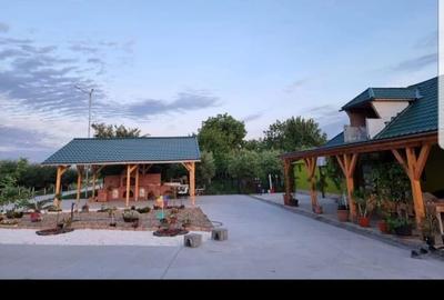 Teren agricol extravilan de 70000 mp, în 3 Insule - 10