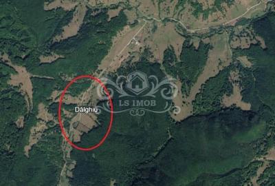 Teren extravilan de 25900 mp, în Vama Buzăului - 1