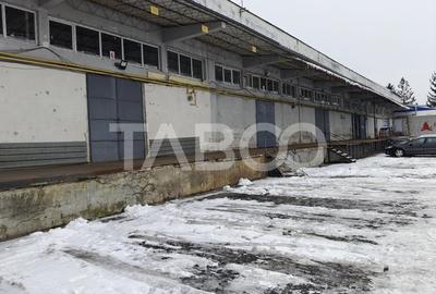 Spațiu industrial, de 800 mp, în Turnișor - 2