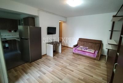 Garsonieră decomandată, mobilată în Theodor Pallady - 3