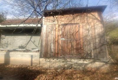 Vand casa batraneasca - 5