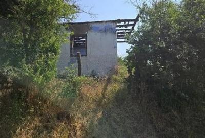 Casă cu 1 camere cu Teren 1200 Mp în Cucuruzu - 7