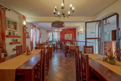 Casa / Vila de vanzare in Rasnov, afacere-Pensiune clasificata - 44