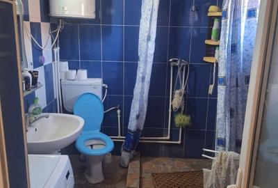 Seaca de Camp, jud. Dolj Seaca de Camp, jud. Dolj - 4