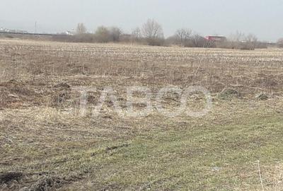 Teren extravilan 4200 mp in Sibiu zona Turnisor - 6