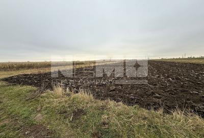 Teren agricol extravilan de 50 mp, în Ultracentral - 4