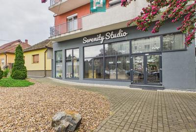 Spațiu comercial, de 135 mp, în Micălaca - 1