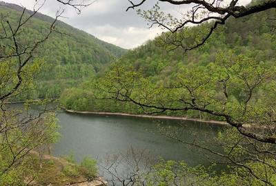 Teren de 1000 mp, în Tarnița - 1
