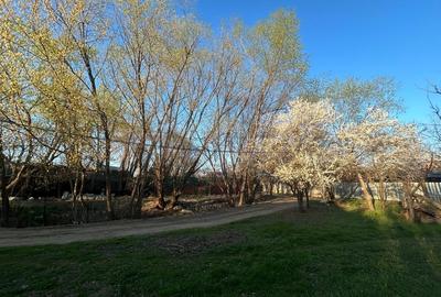 Casă individuală cu 5 camere cu Canalizare în Giulești - 6