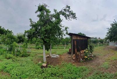 Casă cu 4 camere în Mihăilești - 8