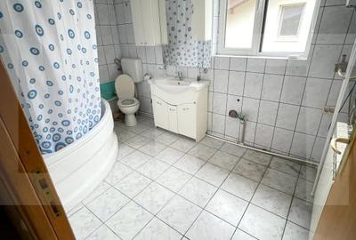Casa de vanzare - o oaza linistita chiar langa Parcul Tineretului - 10