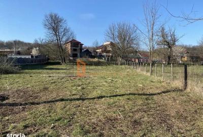 Spațiu comercial, în Tisău - 1