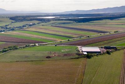 FILM! 18.000 mp,extravilan,agricol constructii, recomandat:f - 12