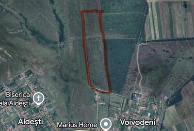 Spațiu comercial, în Voivodeni - 1