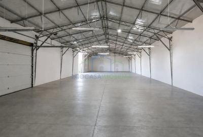 Spațiu comercial, de 831 mp, în Ișalnița - 1