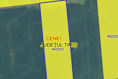 Teren în Cenei - 1