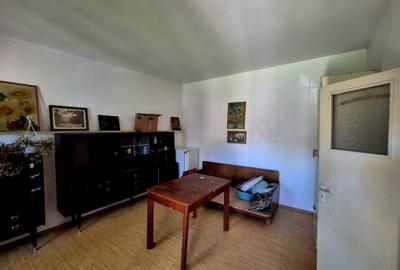 Casă individuală cu 3 camere cu Teren 2753 Mp în Vad - 16