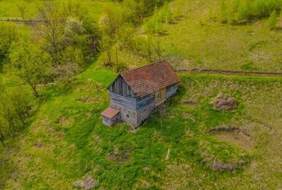 Teren 11,342 mp Poiana Marului /Extravilan/Oportunitate investiție - 9