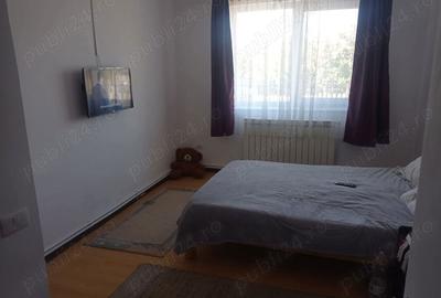 Casă cu 3 camere în Borș - 9