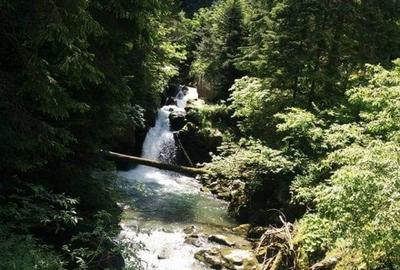 Casă individuală cu 5 camere cu Teren 470 Mp în Turnu Ruieni - 5