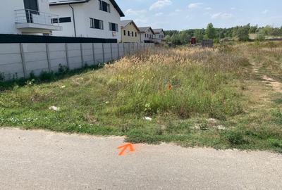 Teren Construcții intravilan de 625 mp, în Vest - 7