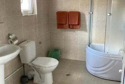 Casa de inchiriat in regim hotelier - 8