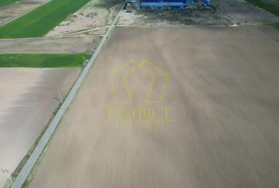 Teren extravilan pentru constructii industriale 5ha | Sag | Frigoglass - 4