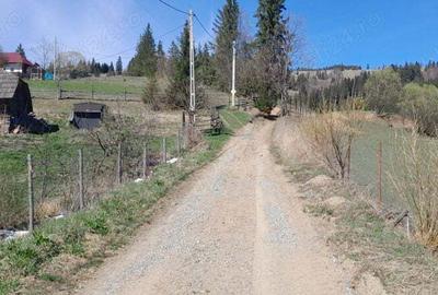 Vand casa ?i teren 3892m - 8