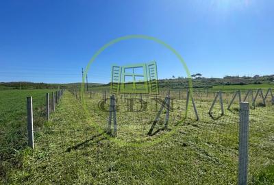 Teren intravilan agricol 6215mp cu utilitati in Racari, jud. Dolj - 3