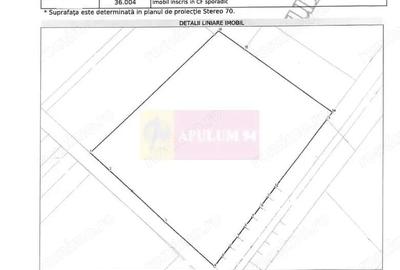 Teren de 131935 mp, în Est - 6