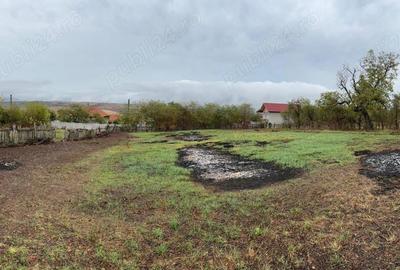 Teren de 3974 mp, în Breznița-Ocol - 5