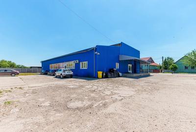 Depozit frigo de inchiriat in Sacalaz - 1