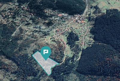 Teren 36000 mp, Borsec - 1