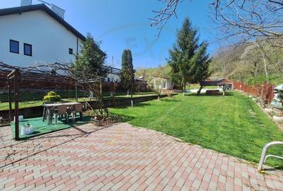 Casa de Vacanta - Un Colt de Rai , Stefanesti-Arges - 8