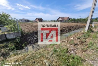 Spațiu comercial, în Cătălina - 4