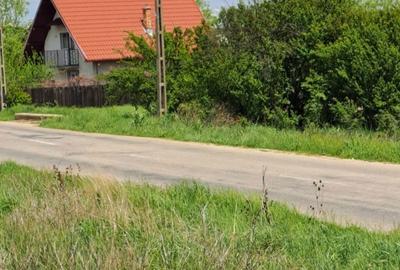 Spațiu comercial, în Catane - 2